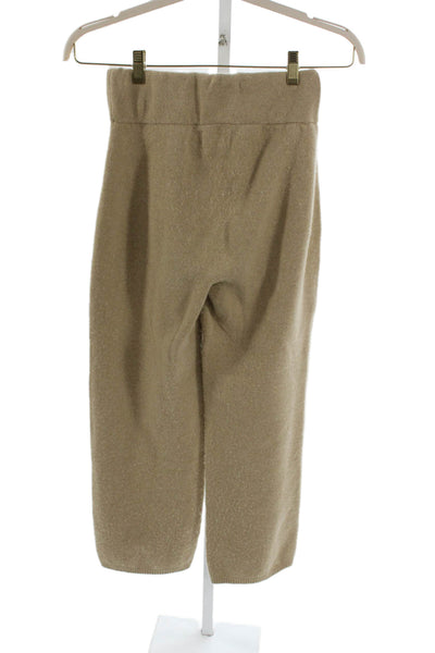 James Street Women Pants Brown Wool Solid Size M