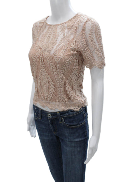 Zara Womens Cropped Floral Lace Blouse Beige Short Sleeve Size M