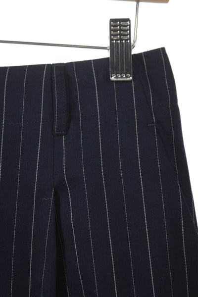 J. Mclaughlin Womens Blue Pinstripe Cotton Chino Shorts Size 0