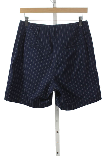 J. Mclaughlin Womens Blue Pinstripe Cotton Chino Shorts Size 0