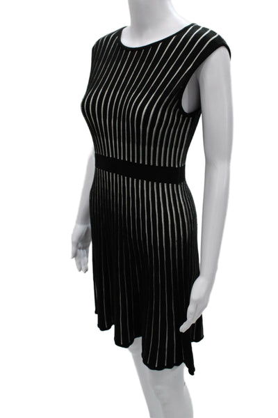 Calvin Klein Womens Fit & Flare Striped Sleeveless Black Dress Size PM