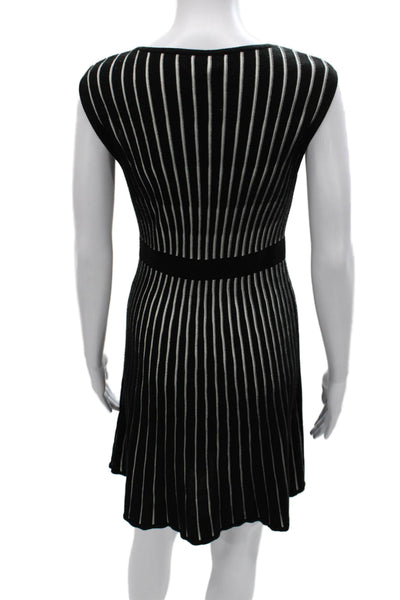 Calvin Klein Womens Fit & Flare Striped Sleeveless Black Dress Size PM