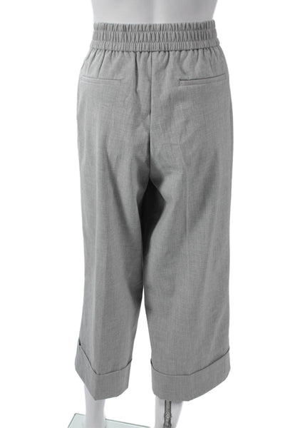 Rachel Zoe Womens Cropped Gray Pants 60% Recycled Poly Size 14