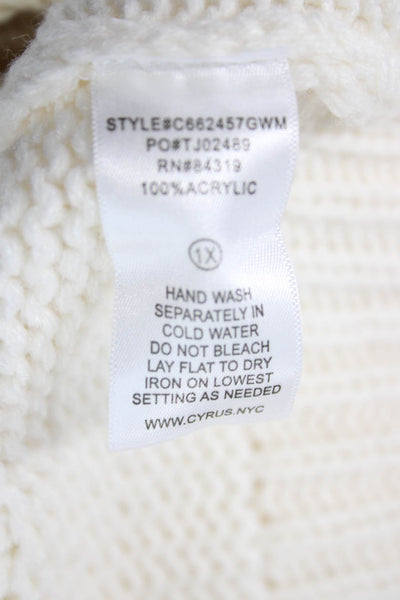 Cyrus Womens Pullover Sweater Ivory Round Neck Long Sleeve Size 1X