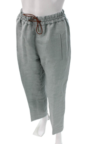 QL2 Women Ankle Pants Gray Silk Drawstring Casual Size 40