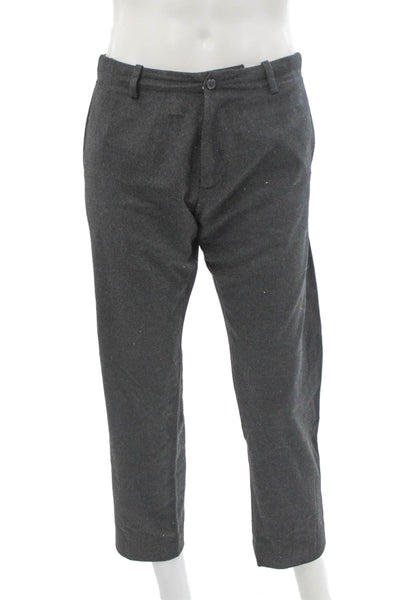 Stephan Schneider Mens Dress Pants Gray 70% Wool Size 34