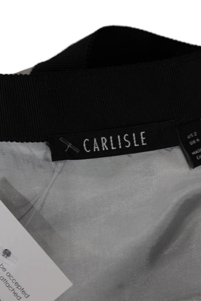 Carlisle Womens Pleated Silk Striped Knee Length Skirt Black Size 2