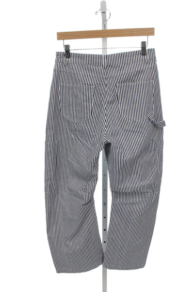 Lioness Unisex Cargo Carpenter Striped Blue Pants Size S