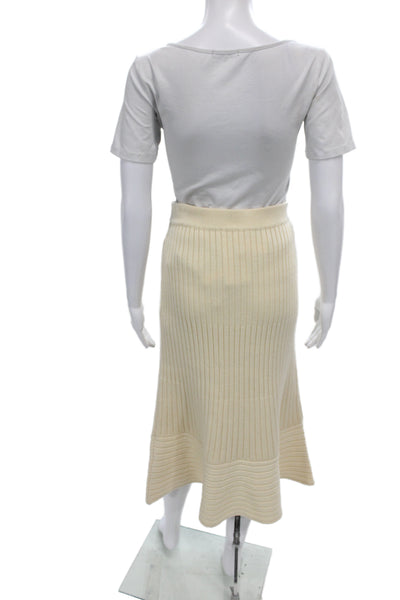 Jonathan Simkhai Womens Beige Striped A-Line Flare Long Skirt Size L