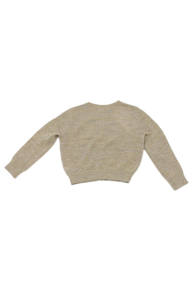 Louise Misha Girls Short Sleeve Crew Neck Fringe Trim Metallic Dress Beige 3T