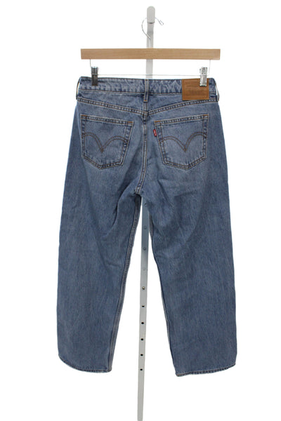 Levi Strauss & Co Mens Straight Blue Jeans Size 25