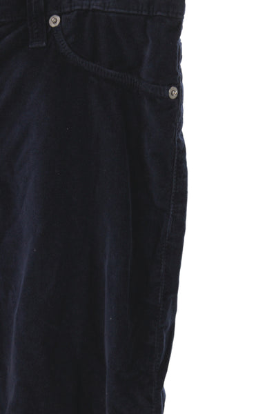 Hudson Womens Corduroy Pants Blue Button Closure Casual Size 29