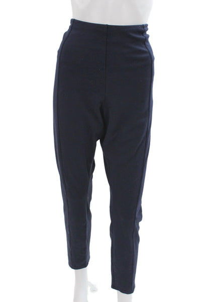 Lysse Womens Ankle Leggings Blue Casual Size 3X