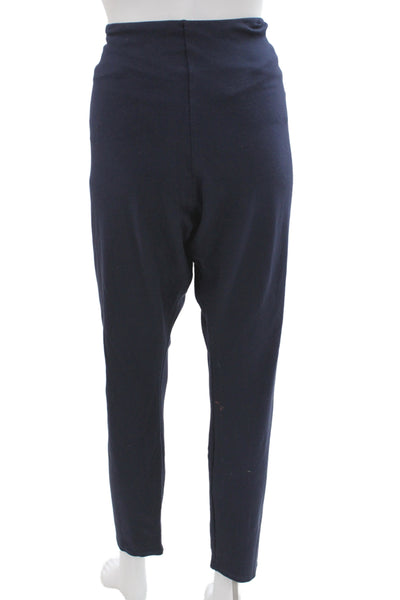 Lysse Womens Ankle Leggings Blue Casual Size 3X