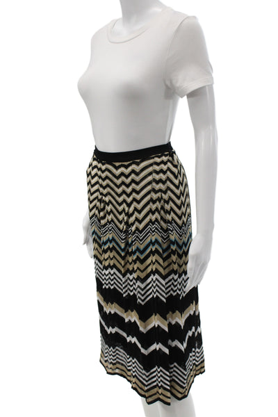 Dana Buchman Womens Pleated Chevron Skirt Beige Rayon Knee Length Size L