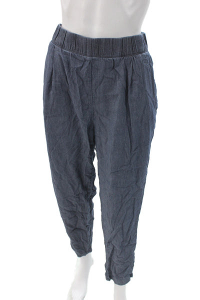 Eileen Fisher Womens Blue 100% Organic Cotton Solid Pants Inseam 28 Size M