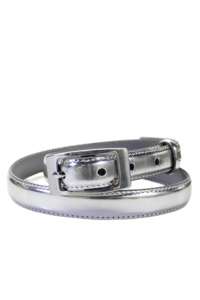 J Crew Women's Buckle Closure Leather Metallic Silver Skinny Belt Size S