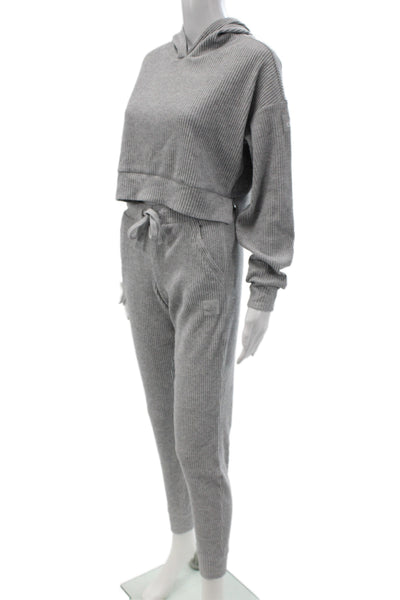 Alo Womens Sweatsuit Hooded Pullover Striped Gray Athleisure Outfit Set Size XS