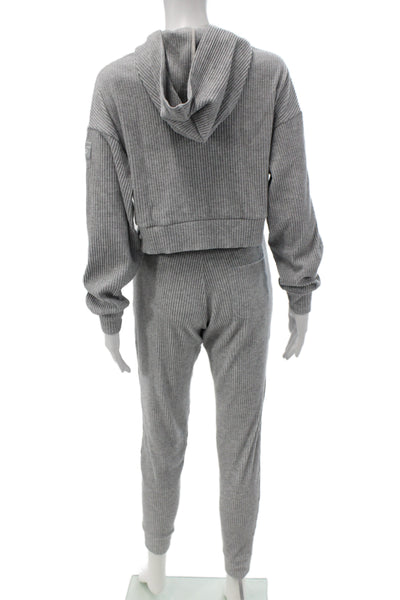 Alo Womens Sweatsuit Hooded Pullover Striped Gray Athleisure Outfit Set Size XS