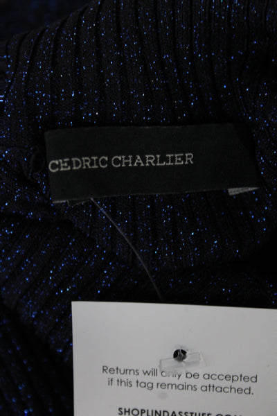 Cedric Charlier Womens Pullover Turtleneck Metallic Blue Long Sleeve Size M