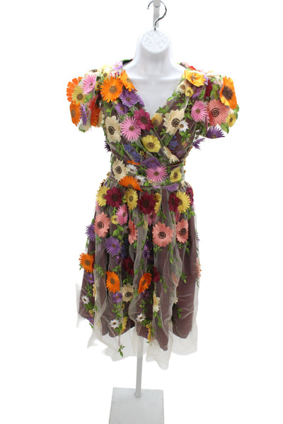 Magnolia Womens Fit & Flare Dress Brown Floral V-Neck Short Sleeve Size XS