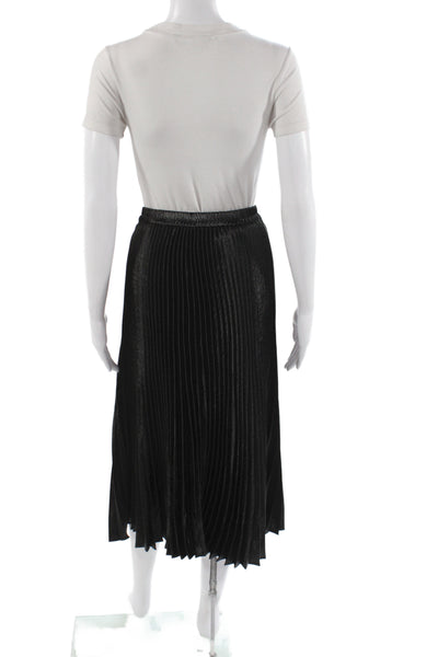Caballero Collection Womens Pleated Black Knee Length Polyester Skirt Size XS