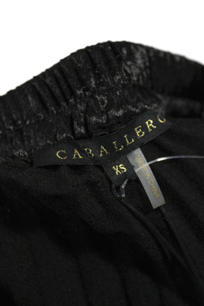Caballero Collection Womens Pleated Black Knee Length Polyester Skirt Size XS