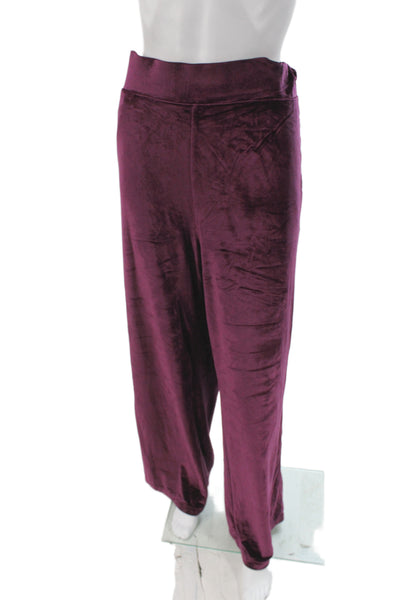 Greyson Womens Velvet Pull On Sweatpants Purple Size XL
