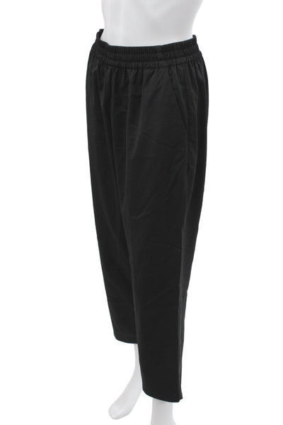 Everlane Women Ankle Pants Wool Pull On Black Minimalist Size 4