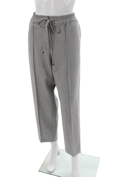 Club Monaco Women Ankle Pants Gray Polyester Drawstring Size 8