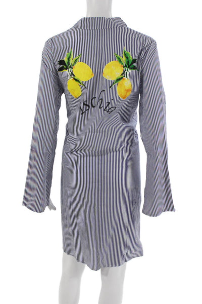 Aeryne Women Blue Striped Cotton Shirt Dress Long Sleeve Collared Size L